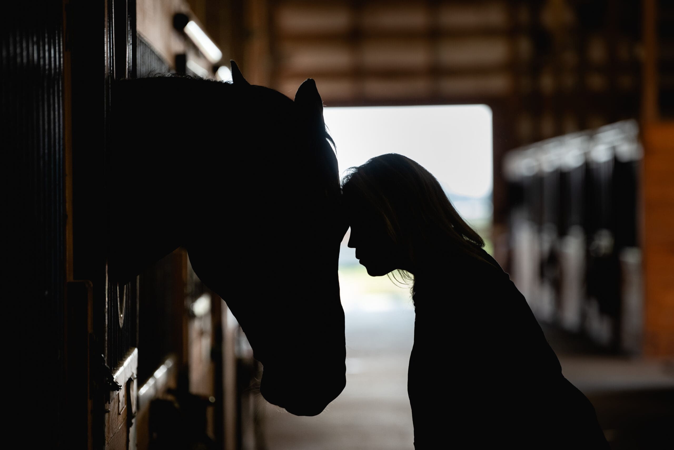 Brave Horse_08-2021_86