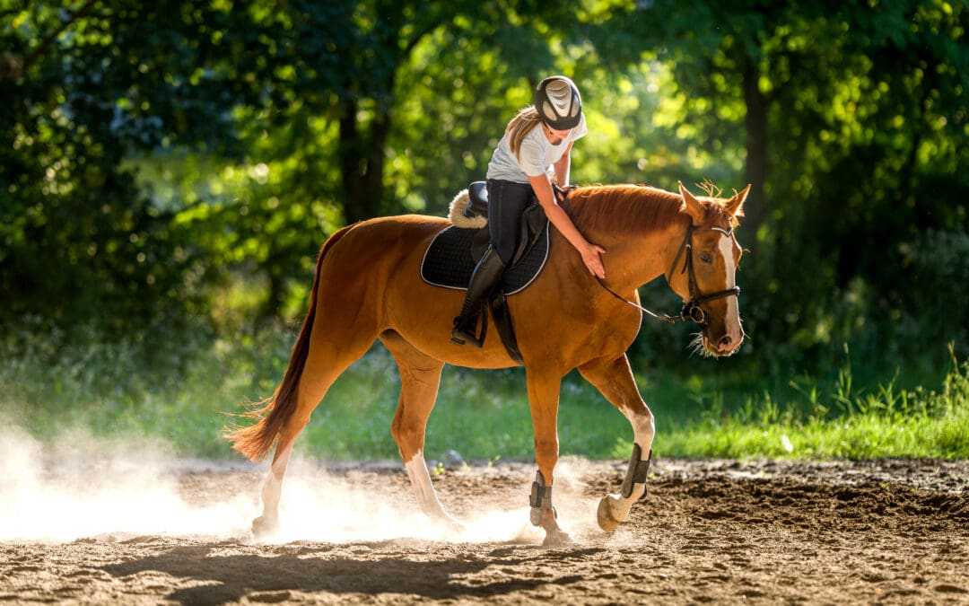 Navigating Arthritis in Horses: A Path to Happy and Healthy Horse