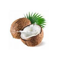 coconut cbd oil